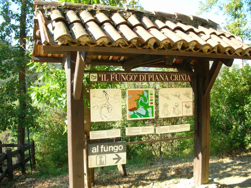 Il Grande Fungo di pietra